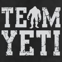 Team Yeti Adult Drive Performance Visor
