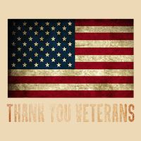 Thank You Veterans Day Military Life Army Affairs Grateful Bag