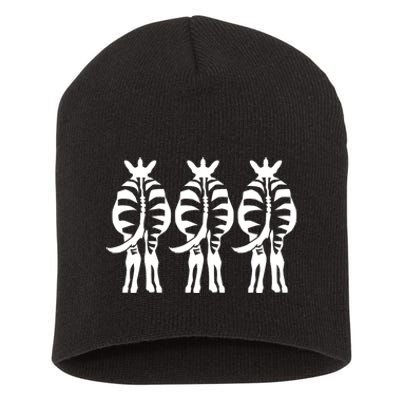 Three Zebras Short Acrylic Beanie