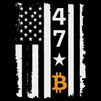 Usa 47th Flag Bitcoin Design – Trump Crypto Supporter Bucket Hat