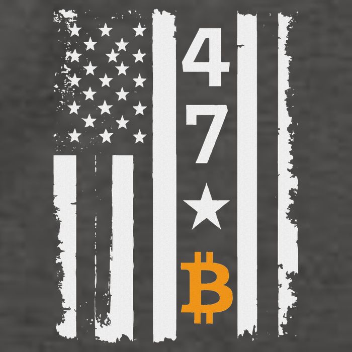 Usa 47th Flag Bitcoin Design – Trump Crypto Supporter Vector Backpack