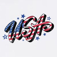 Usa 4th Of July Vintage Star Ladies Long Sleeve Shirt