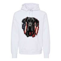 USA 4th Of July Great Dane On Patriotic American Great Dane Premium Hoodie