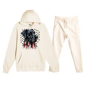 USA 4th Of July Great Dane On Patriotic American Great Dane Premium Hooded Sweatsuit Set