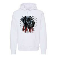 USA 4th Of July Great Dane On Patriotic American Great Dane Premium Hoodie