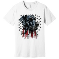 USA 4th Of July Great Dane On Patriotic American Great Dane Premium T-Shirt