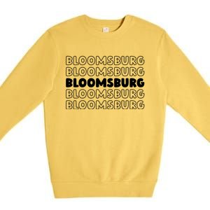 Us American City Usa Resident Pennsylvania Bloomsburg Gift Premium Crewneck Sweatshirt