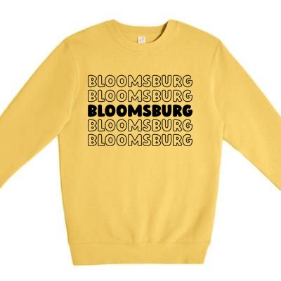 Us American City Usa Resident Pennsylvania Bloomsburg Gift Premium Crewneck Sweatshirt