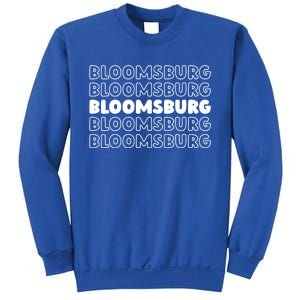 Us American City Usa Resident Pennsylvania Bloomsburg Gift Sweatshirt