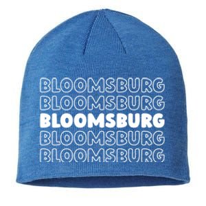 Us American City Usa Resident Pennsylvania Bloomsburg Gift Sustainable Beanie