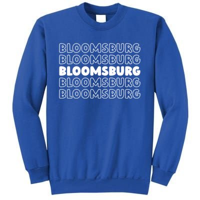 Us American City Usa Resident Pennsylvania Bloomsburg Gift Tall Sweatshirt