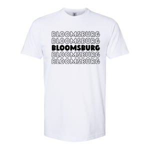 Us American City Usa Resident Pennsylvania Bloomsburg Gift Softstyle CVC T-Shirt