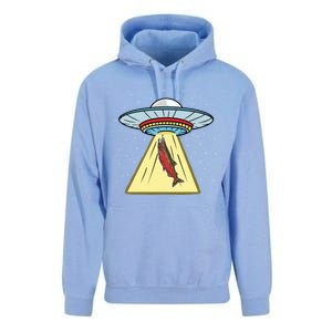 Ufo Abduction Coho Salmon Meaningful Gift Unisex Surf Hoodie