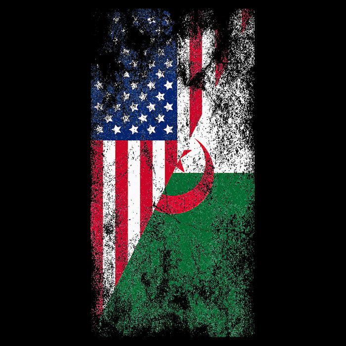 USA Algeria Flags United States of America Algerian 16 in Basic Backpack