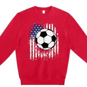 Usa American Flagc4th Of July Patriotic Premium Crewneck Sweatshirt