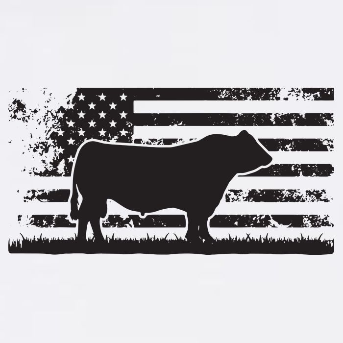USA American Flag America Cow Black Angus Rancher Bucket Hat