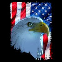 USA American Flag Eagle Distressed Style Impact Tech Backpack