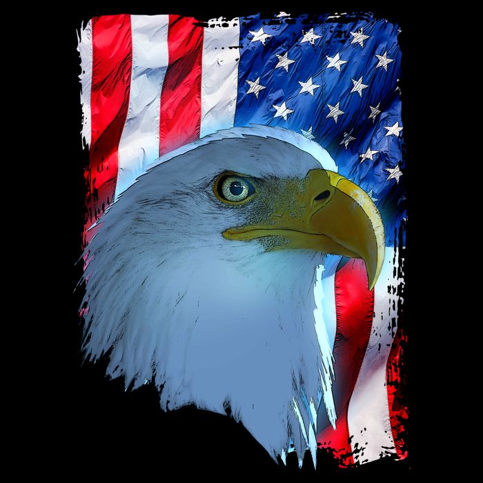USA American Flag Eagle Distressed Style Youth Performance Sprint T-Shirt