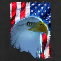 USA American Flag Eagle Distressed Style Golf Towel