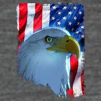 USA American Flag Eagle Distressed Style Flatbill Hat