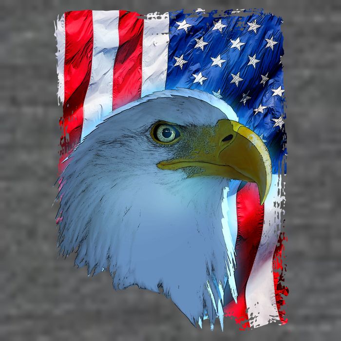 USA American Flag Eagle Distressed Style Flatbill Hat