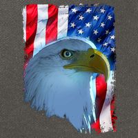 USA American Flag Eagle Distressed Style Cotton Canvas Backpack