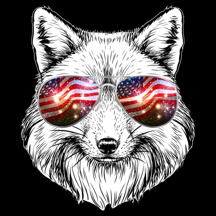 USA American Flag Fireworks Fox Baby Bodysuit
