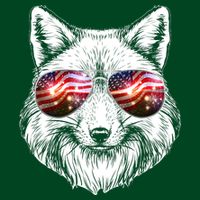 USA American Flag Fireworks Fox Cooling Performance Crew T-Shirt