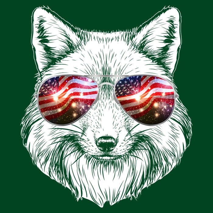 USA American Flag Fireworks Fox Cooling Performance Crew T-Shirt