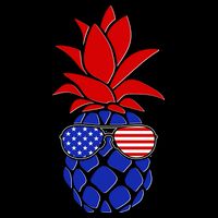 USA American Flag Sunglasses Pineapple 16 in Basic Backpack