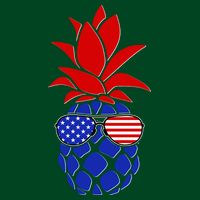USA American Flag Sunglasses Pineapple Hoodie