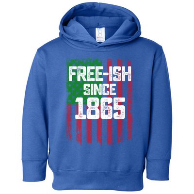 Usa American Flag Juneteenth June 19 1865 Black History Blm Cute Gift Toddler Hoodie