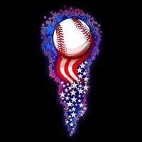 USA American Flag Baseball Star Comet Flat Bill Trucker Hat