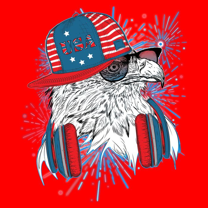 USA American Flag Fireworks Hip Hop Headphones Eagle Flatbill Hat