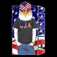 USA America Flag Hip Hop Eagle Cooling Performance Long Sleeve Crew