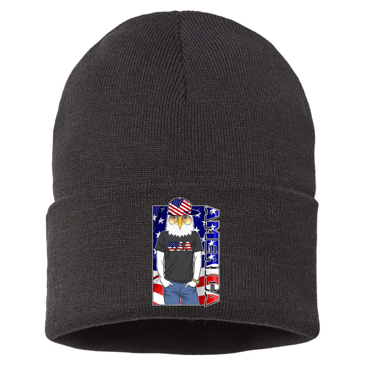 USA America Flag Hip Hop Eagle Sustainable Knit Beanie