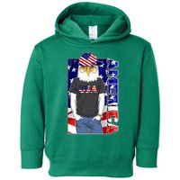 USA America Flag Hip Hop Eagle Toddler Hoodie