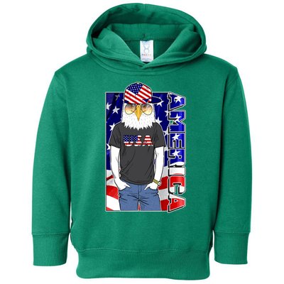 USA America Flag Hip Hop Eagle Toddler Hoodie