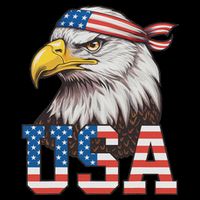 Usa American Flag Women Bald Eagle Patriotic V-Neck T-Shirt