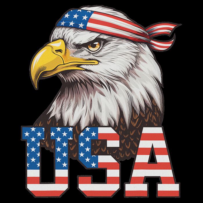 Usa American Flag Women Bald Eagle Patriotic V-Neck T-Shirt