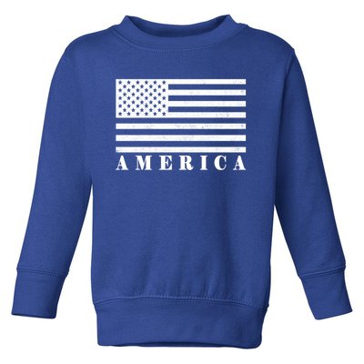 Usa America Gift Toddler Sweatshirt