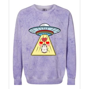 Ufo Abduction Hedgehog Valentines Day Great Gift Colorblast Crewneck Sweatshirt