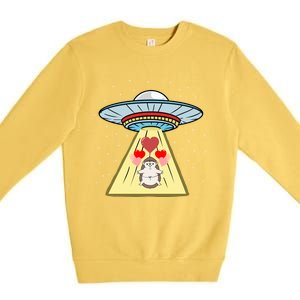 Ufo Abduction Hedgehog Valentines Day Great Gift Premium Crewneck Sweatshirt