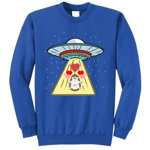 Ufo Abduction Hedgehog Valentines Day Great Gift Sweatshirt