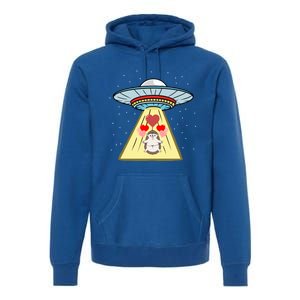 Ufo Abduction Hedgehog Valentines Day Great Gift Premium Hoodie