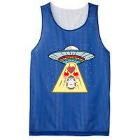 Ufo Abduction Hedgehog Valentines Day Great Gift Mesh Reversible Basketball Jersey Tank