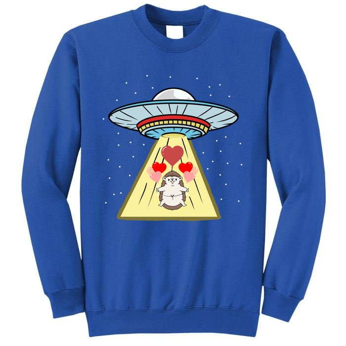 Ufo Abduction Hedgehog Valentines Day Great Gift Tall Sweatshirt