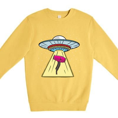 Ufo Abduction Hair Dryer Hairstylist Gift Premium Crewneck Sweatshirt