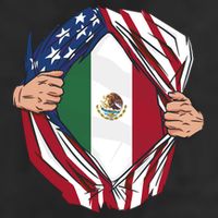 USA And Mexico Flag 7 Panel Mesh Trucker Snapback Hat