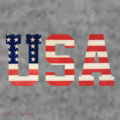Usa American Pride Festive T-Shirt